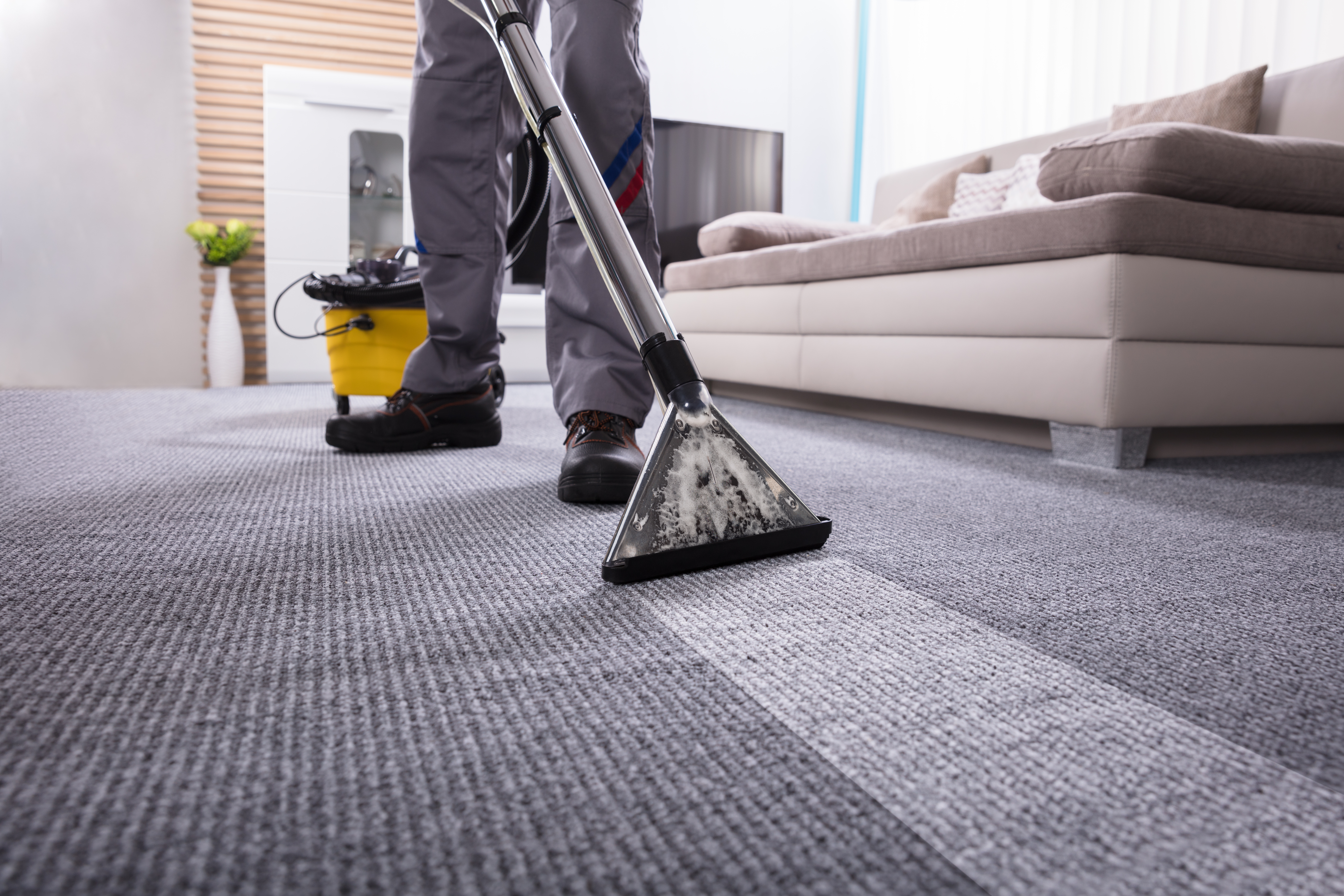 Carpet cleaning in Geelong