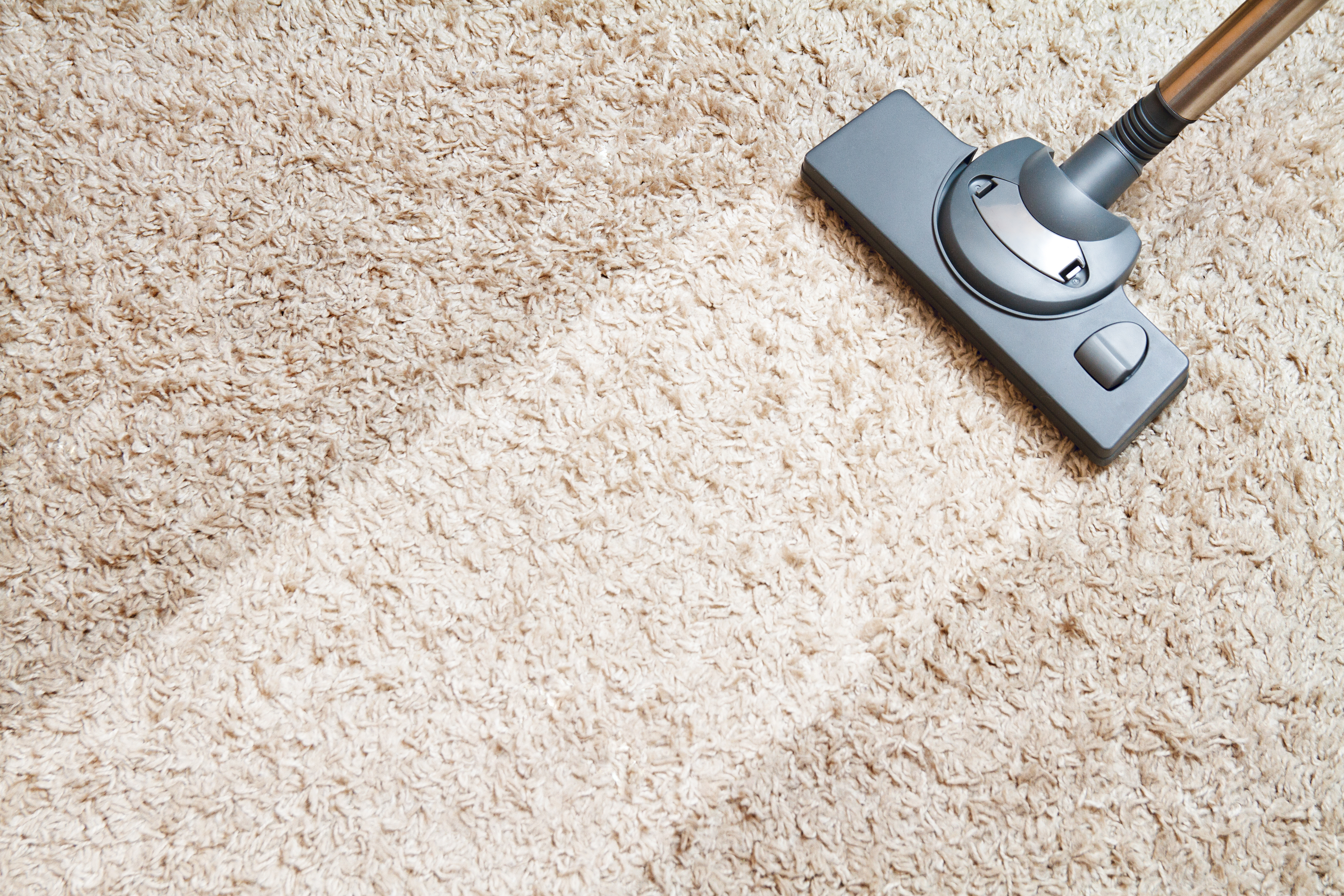 domestic carpet cleaners