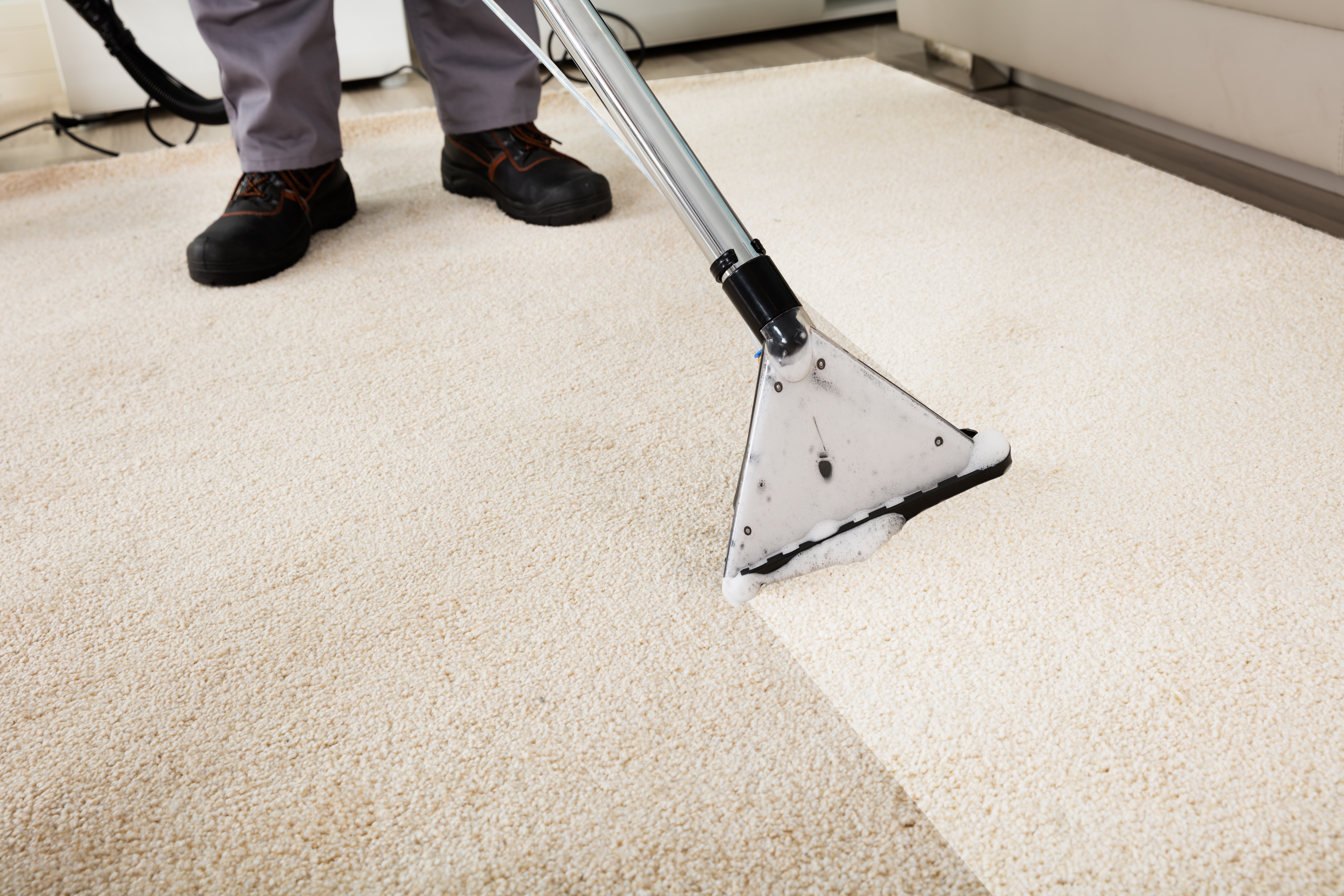 carpet cleaning chelmsford