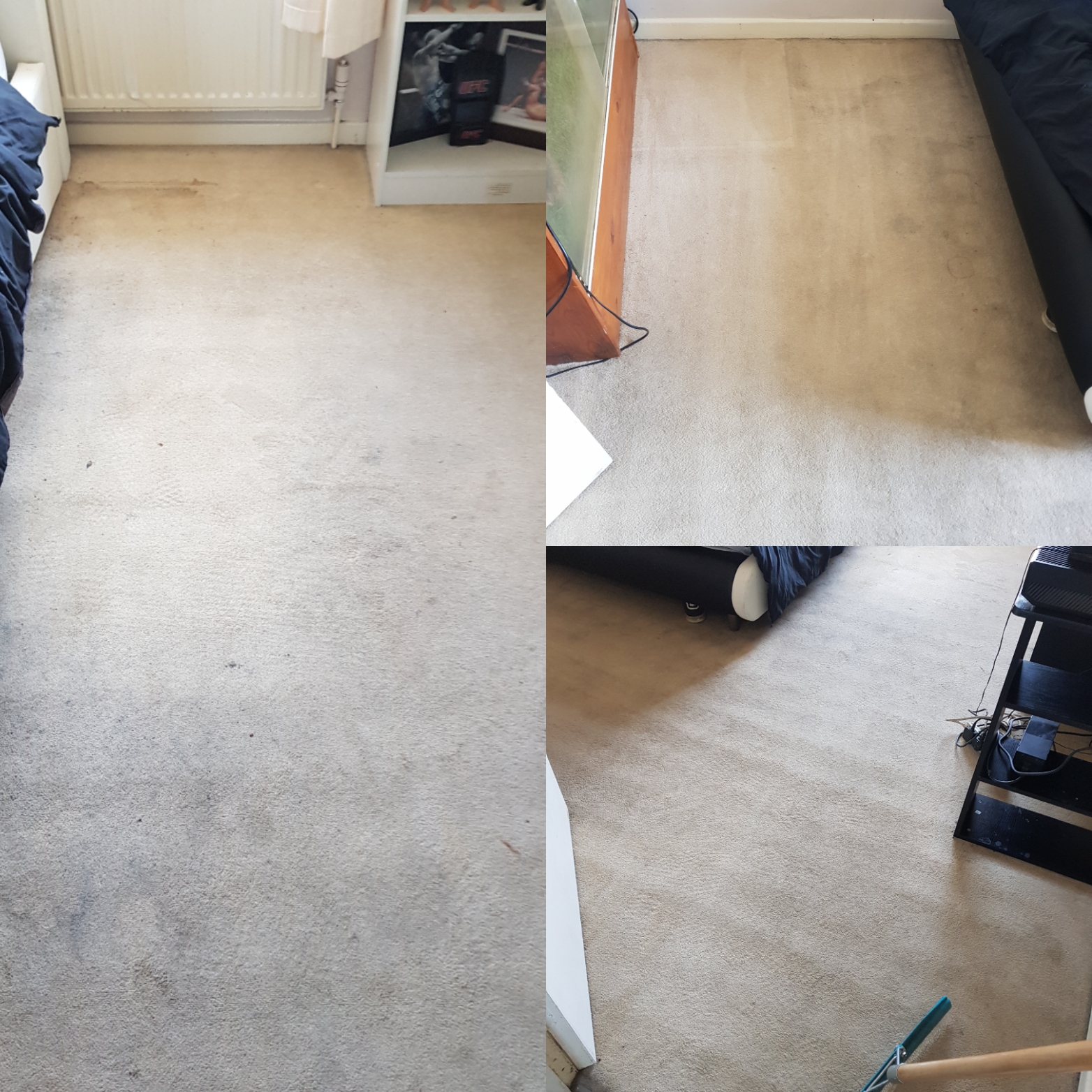 carpet cleaning chelmsford
