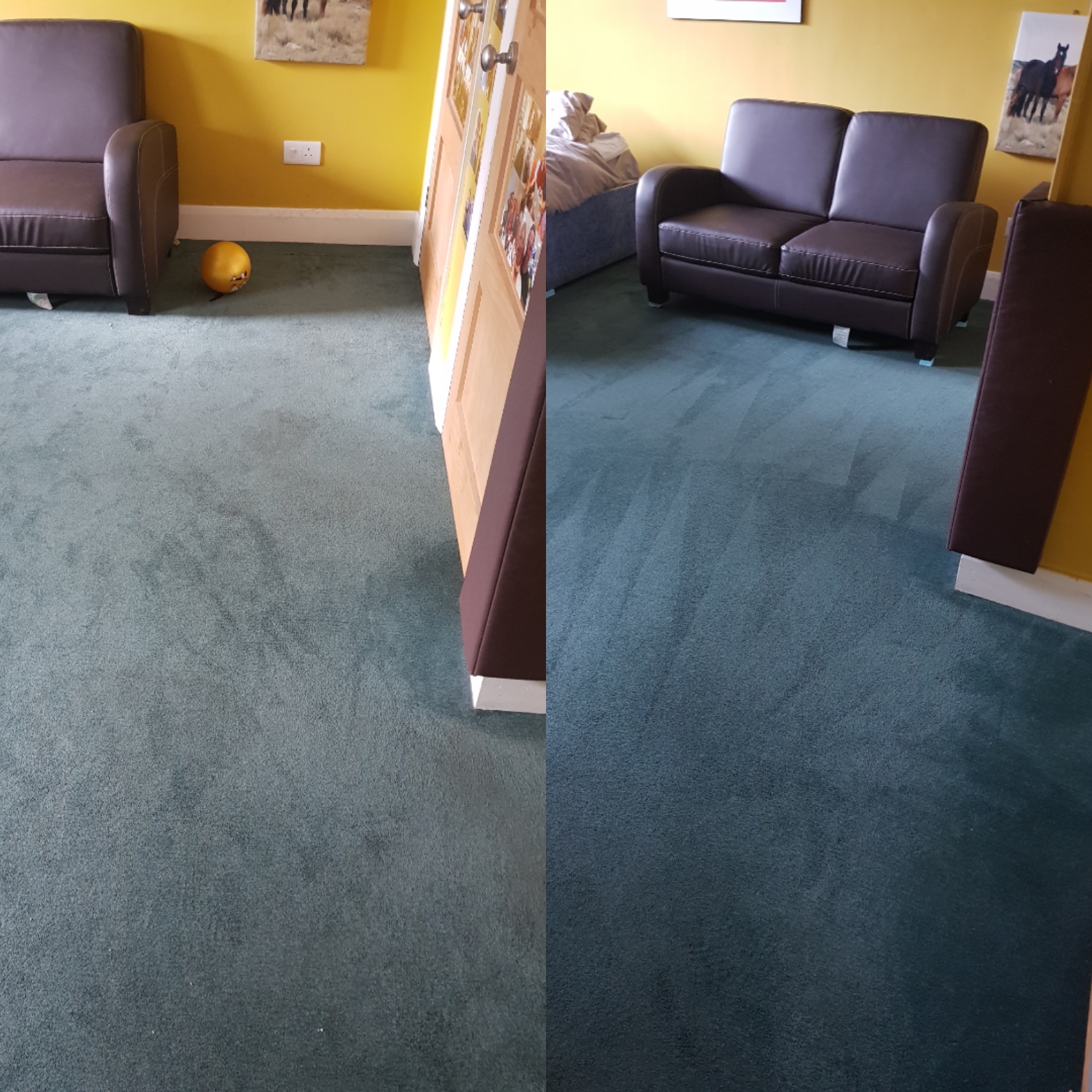 carpet cleaning in chelmsford